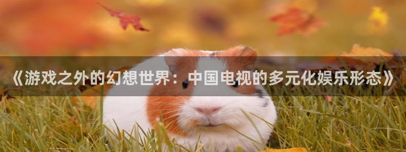 彩名堂计划旧版本：《游戏之外的幻想世界：中国电视的多元化娱乐形态》