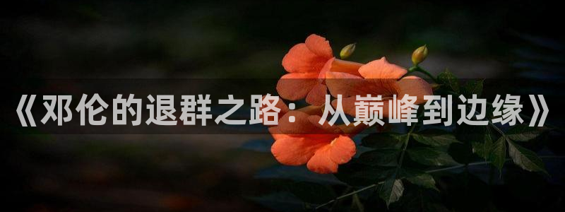 彩名堂旧版本下载：《邓伦的退群之路：从巅峰到边缘》