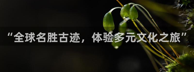 彩名堂人工计划客户端：“全球名胜古迹，体验多元文化之旅”