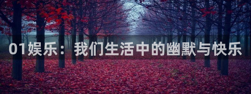 彩名堂怎么样：01娱乐：我们生活中的幽默与快乐