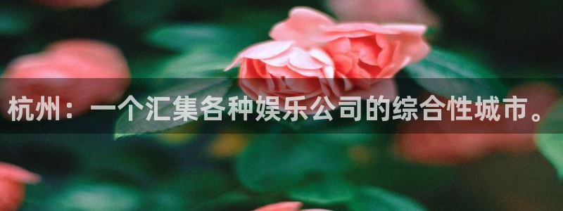 彩名堂全天计划：杭州：一个汇集各种娱乐公司的综合性城市。