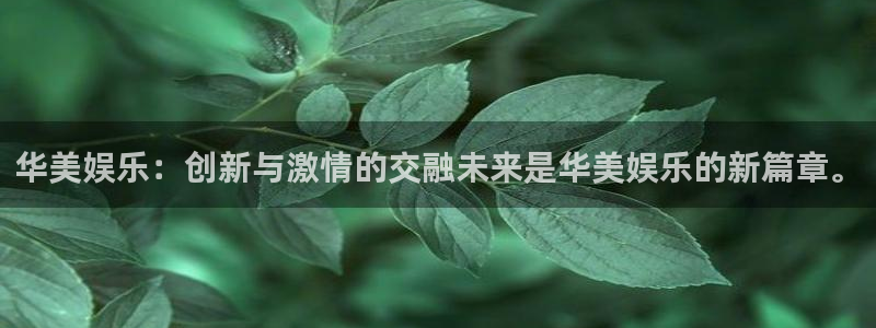 彩名堂官网2：华美娱乐：创新与激情的交融未来是华美娱乐的新篇章。